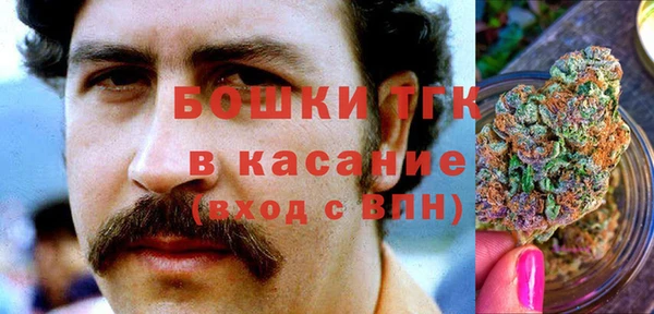 сатива Медвежьегорск