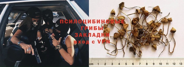 MESCALINE Мегион